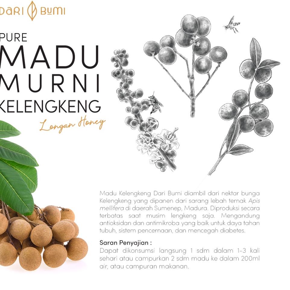 

BRANDS FESTIVAL Vvp81 Madu Murni Kelengkeng 650 gr daribumi :