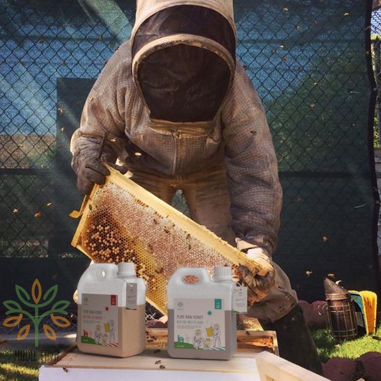 

Model Keren.. Madu Murni Asli 600gr Tava Grade A Nektar Multiflora Java 100% Alami Pure Natural Raw