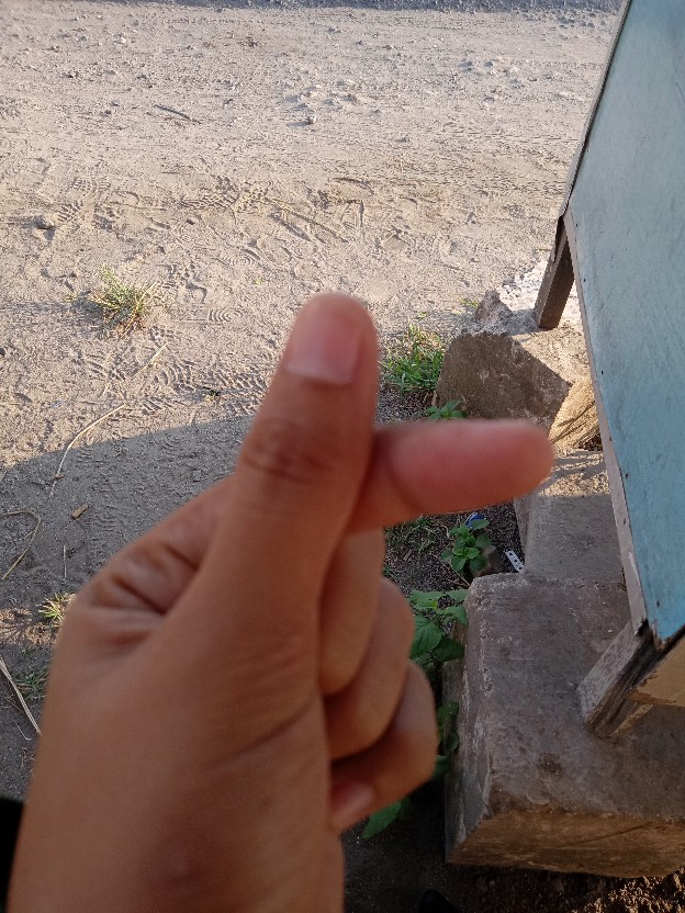 Piring Kue Kecil Karakter