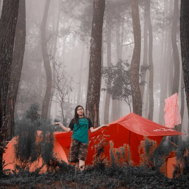 pelita98