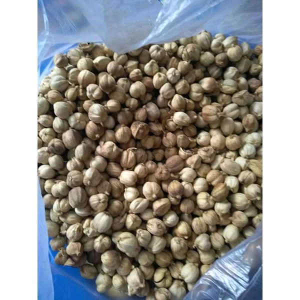 

kapulaga kering 1kg