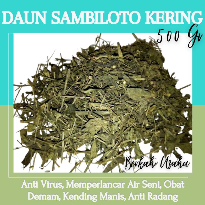 

JAMU TEH DAUN SAMBILOTO SAMBIROTO KERING 500 GRAM MURNI TANPA CAMPURAN