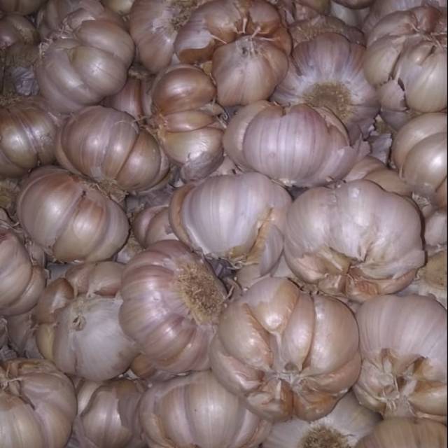 

Bawang putih