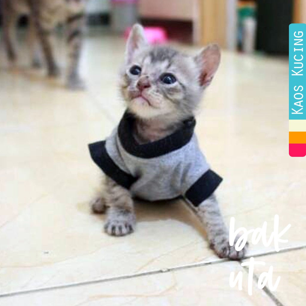 Kaos biasa (oblong) untuk kucing dan anjing /Jual Baju Kucing Terlengkap &amp; Berkualitas size S M L XL