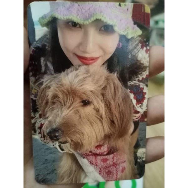 Joy Photocard album Hello