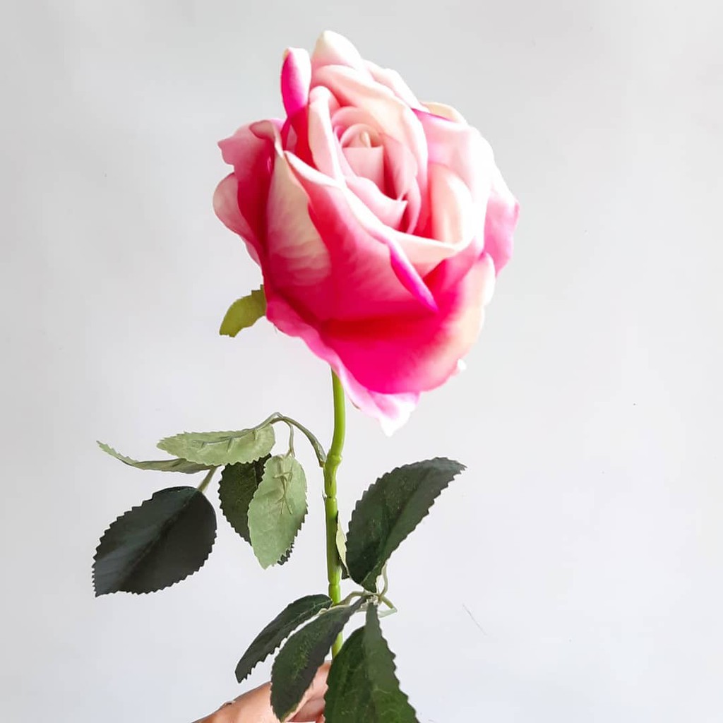 MAWAR BLUDRU TANGKAI PANJANG- bunga plastik artificial home decor shabby chic