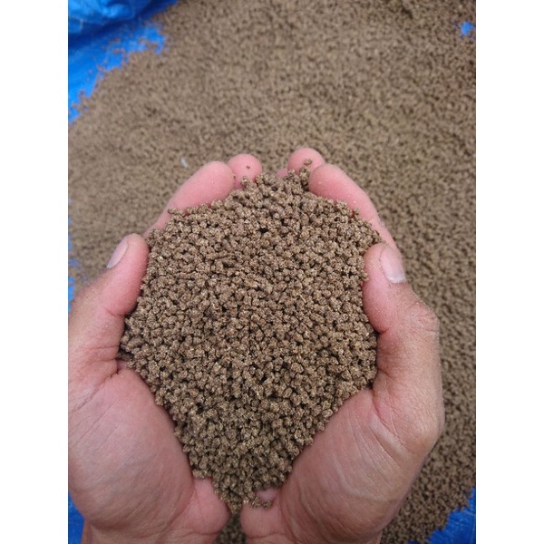 pakan voer pellet tenggelam bukan fengli