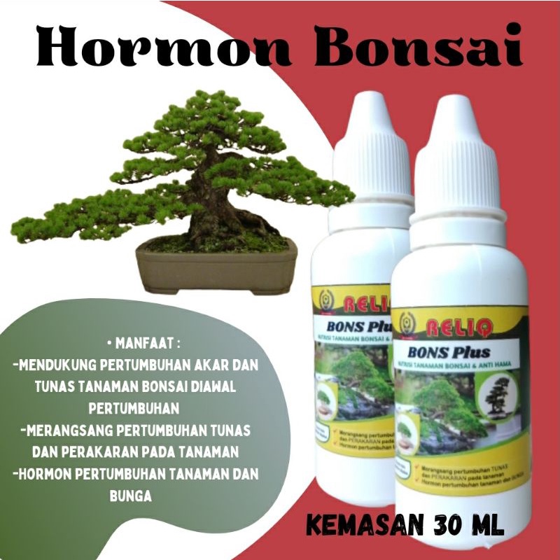 Pupuk Bonsai Terbaik Hormon Bonsai Pupuk Bonsai Yang Bagus