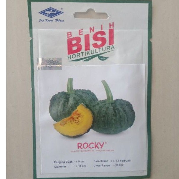 Benih Labu Kuning ROCKY 15 Btr Bibit Waluh Bisi Cap Kapal Terbang