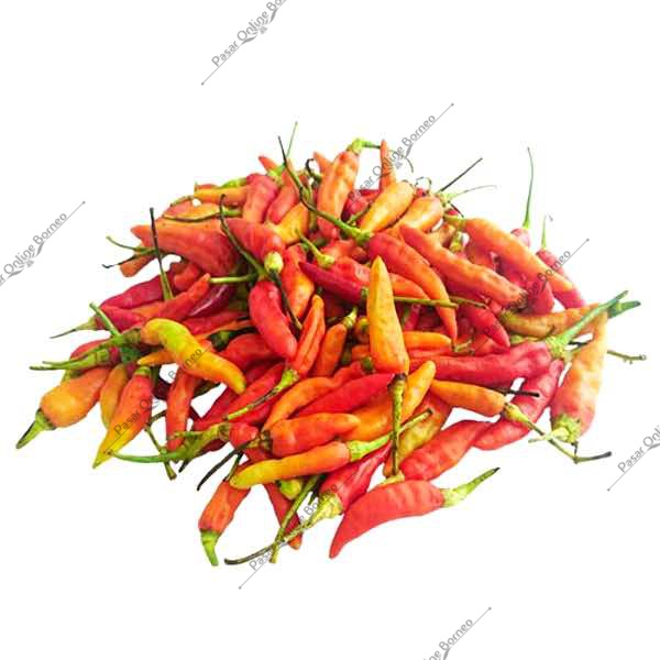 

Cabe Rawit Merah Fresh 100 Gram