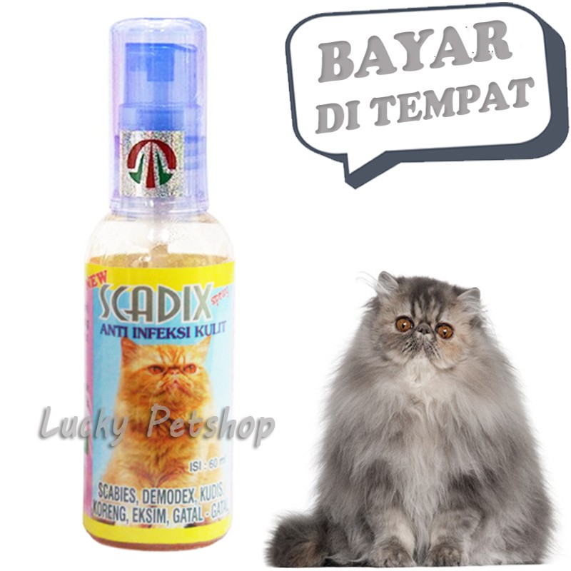 Obat Jamur Scabies Kucing SCADIX