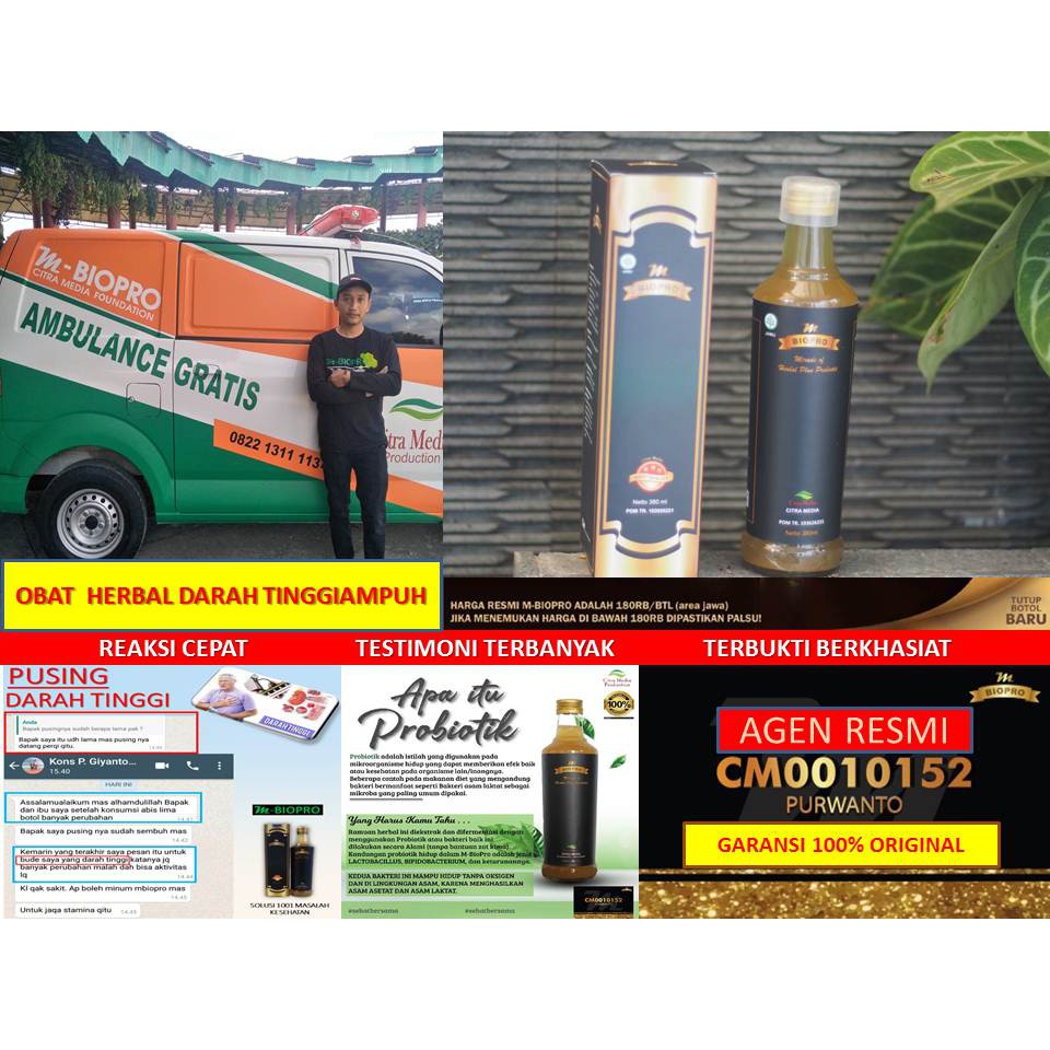 TERBUKTI Manjur  Herbal Darah Tinggi M BIOPRO | Penurun Darah Tinggi | M BIO PRO Obat Penurun Darah