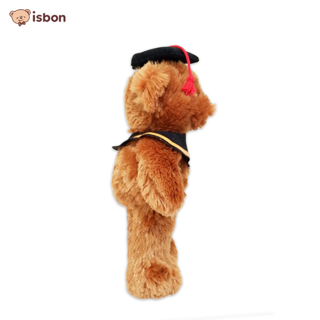 Boneka wisuda teddy bear nad kado sarjana yudisium kelulusan sekolah kuliah-istana boneka