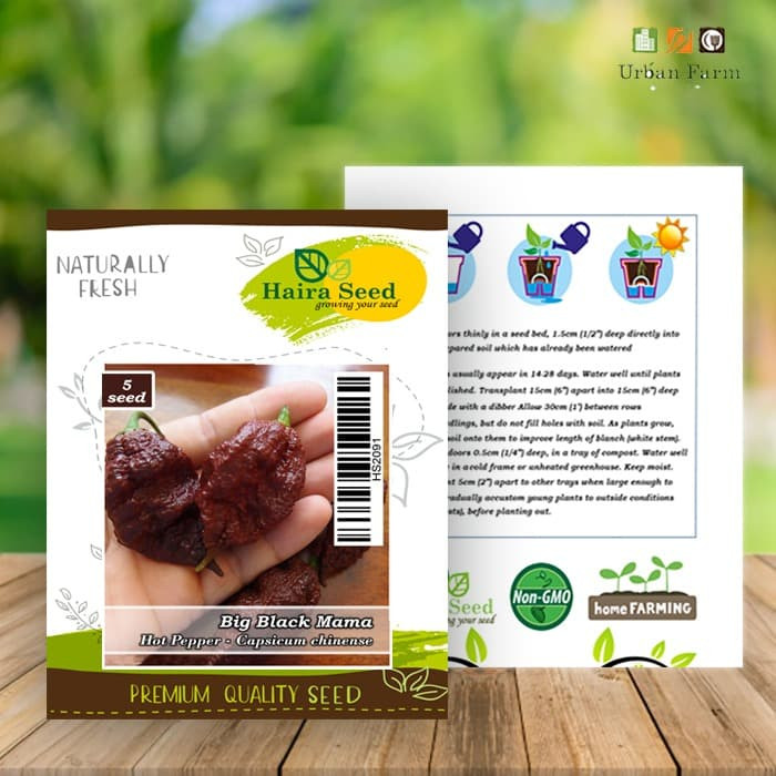 Haira Seed Bibit-Biji Cabe Big Black Mama