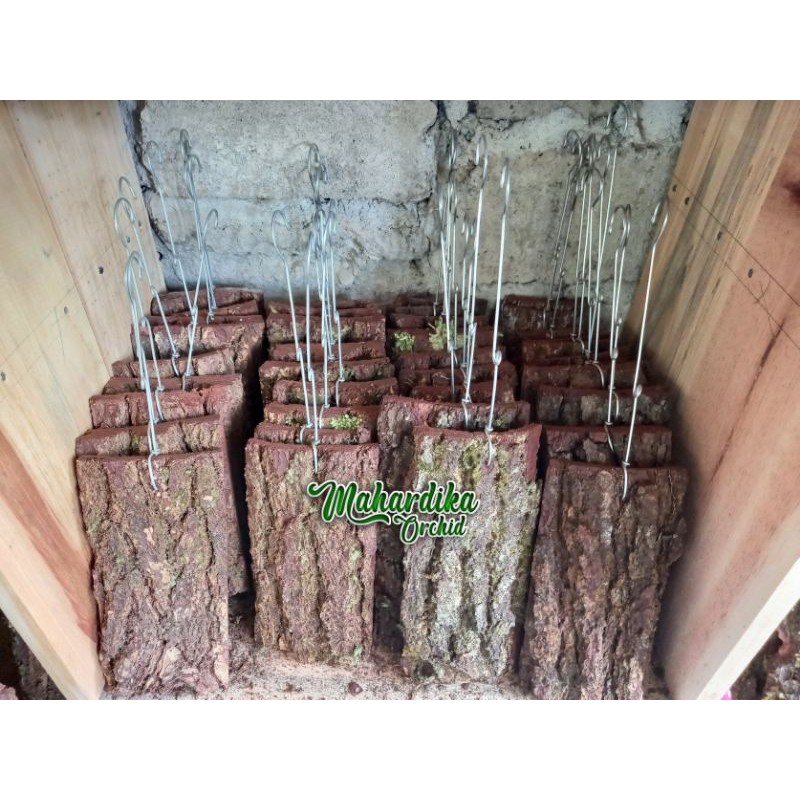 MEDIA TANAM ANGGREK KULIT KAYU PINUS