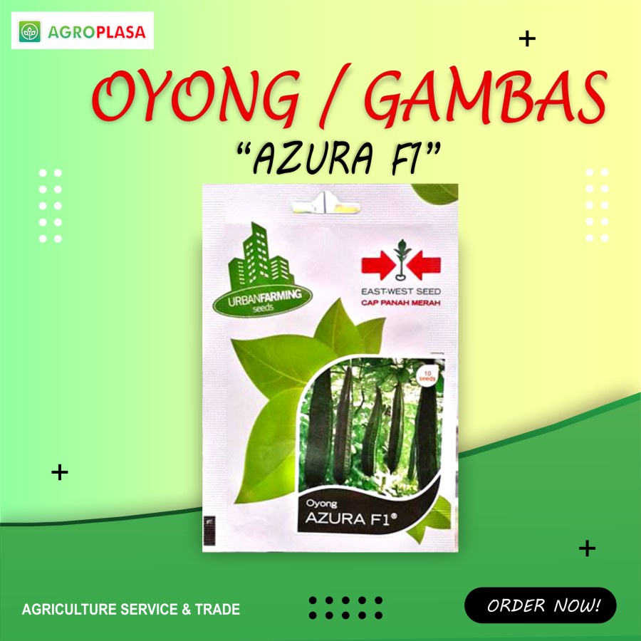 Benih Oyong/Gambas AZURA F1 - CAP PANAH MERAH