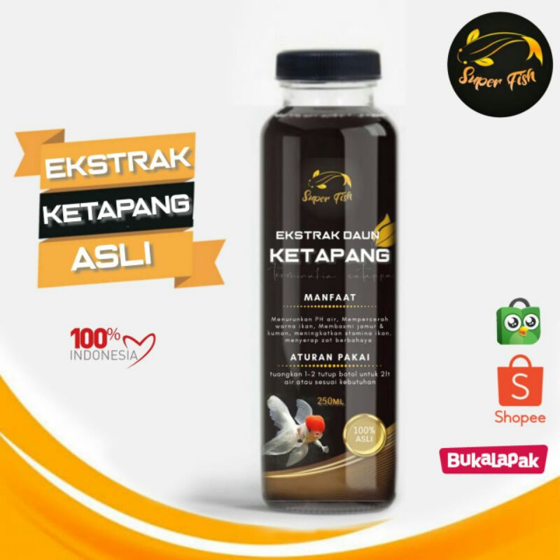 

ekstrak daun ketapang