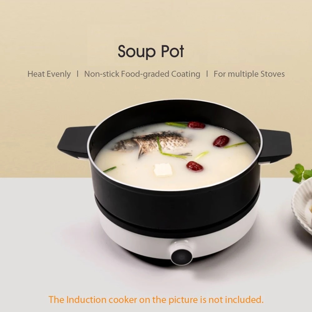 ZHIWU ZGTGZE1TCM - Multi-Purpose Soup Pot 26 cm with Standing Lid