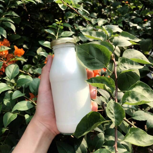 

Milky milk