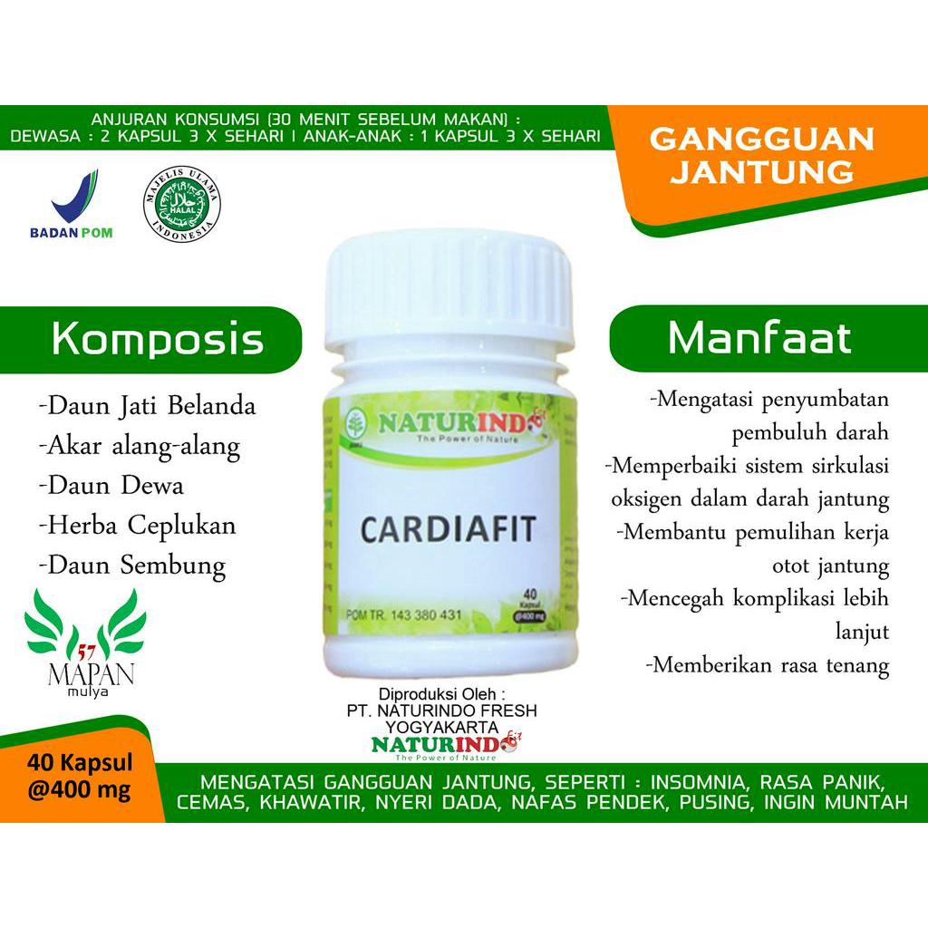 

Obat Penyakit Jantung Koroner herbal alami manjur Naturindo/Jamu herbal INDONESIA.