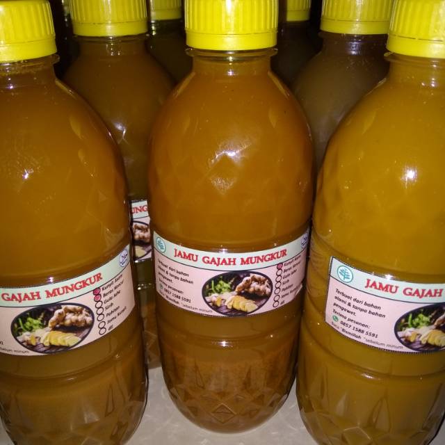 

Jamu Gajah Mungkur