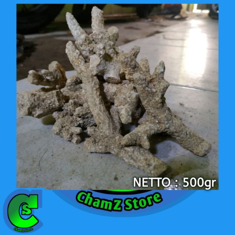 Karang jahe Grade A 500gr media filter aquarium / batu karang jahe / ginger coral / media filter karang jahe / media filter aquarium / karang jahe 500gr