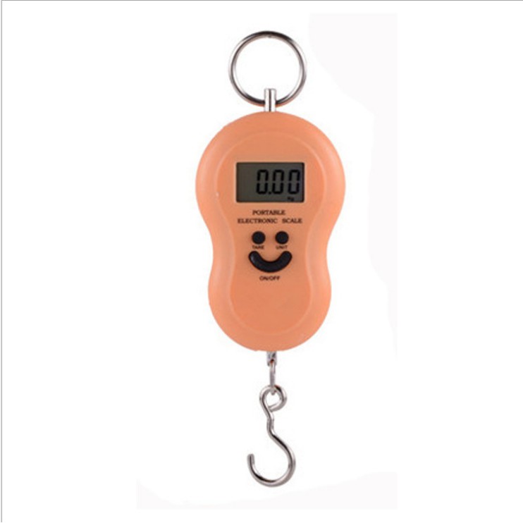 TP 50kg 10gr Timbangan Gantung Mini Digital Scale Travel Portable Smile - MURAH