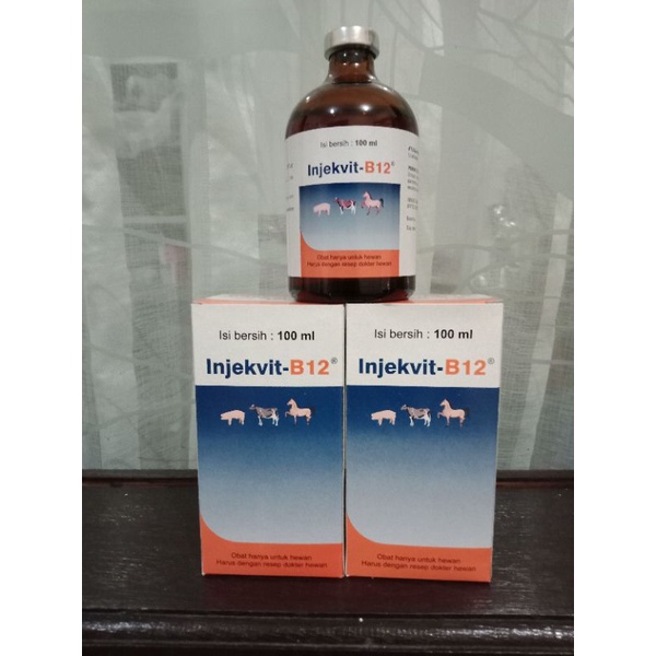 INJEKVIT-B 12  100ml  vitamin injeksi untuk hewan ternak