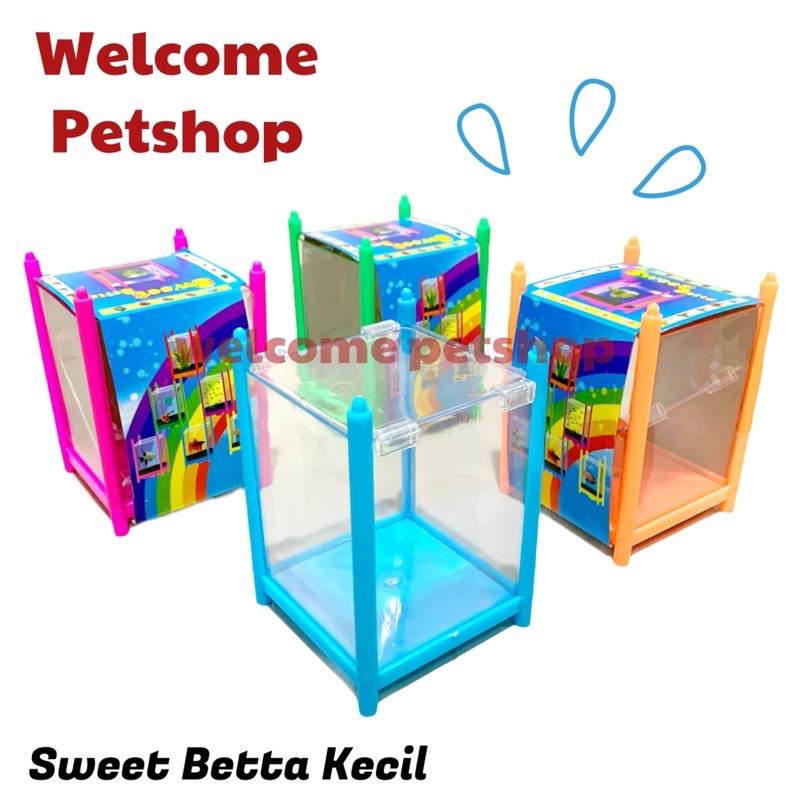 Sweet Betta Akuarium Kecil / Aquarium Cupang / Akuarium Ikan Hias Cupang / Ikan Cupang