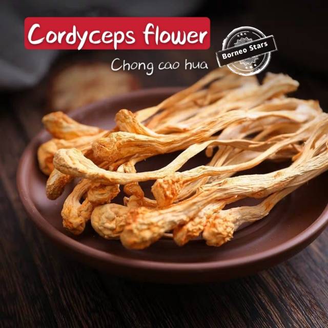 

Cordyceps flower chong cao hua 100 gram