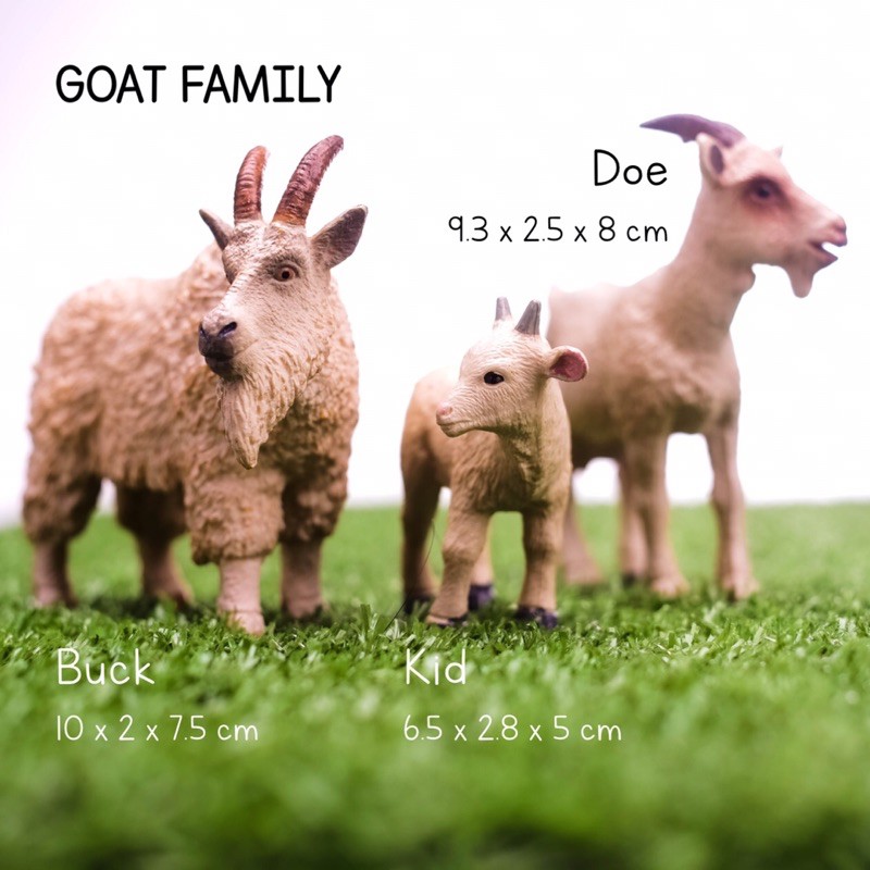 Farm Family Animals