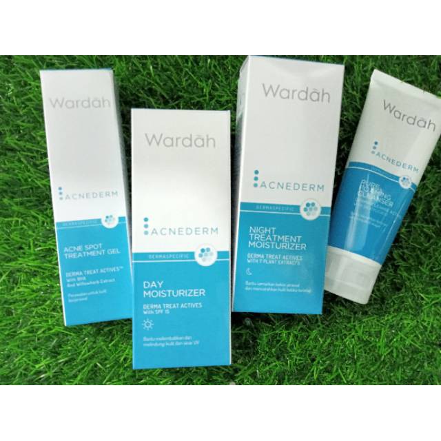 Wardah Paket Jerawat Best Seller (facial wash +day +night +treatment gel)/PAKET JERAWAT/WARDAH