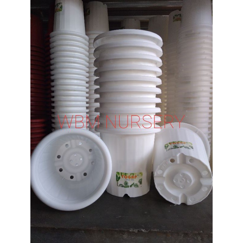 LUSINAN. Pot YOGAP YPT 15