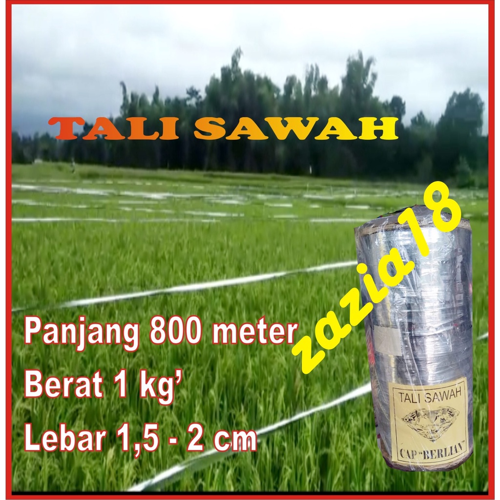 Tali perak/Tali sawah Pengusir burung