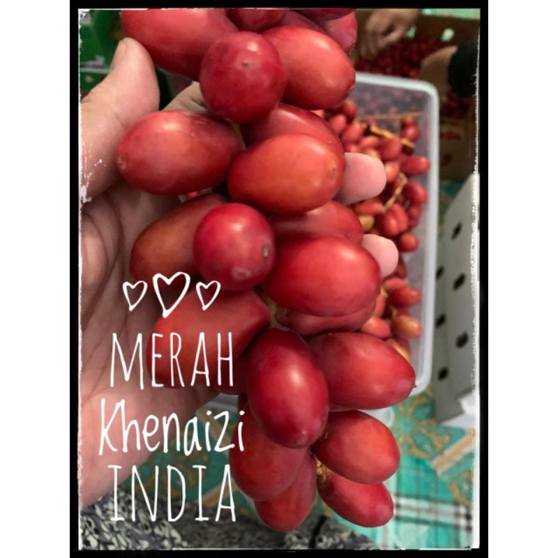 

Kurma Muda Taiba (Khenaizi)