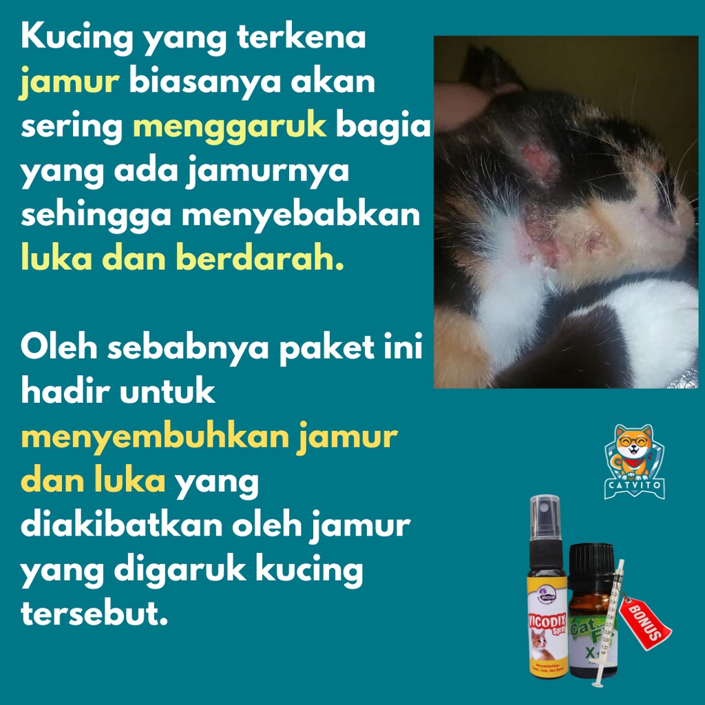 PAKET Obat Gatal Jamur Kucing Luka Borok Koreng Vicodix Cat and Fit X1 Akibat Jamur dan Luka Berkelahi Nanah Berdarah