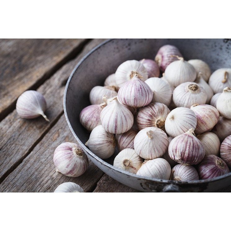 

Bawang Tunggal Bawang Putih Tunggal isi 100 gram Asli 100% kualitas Premium