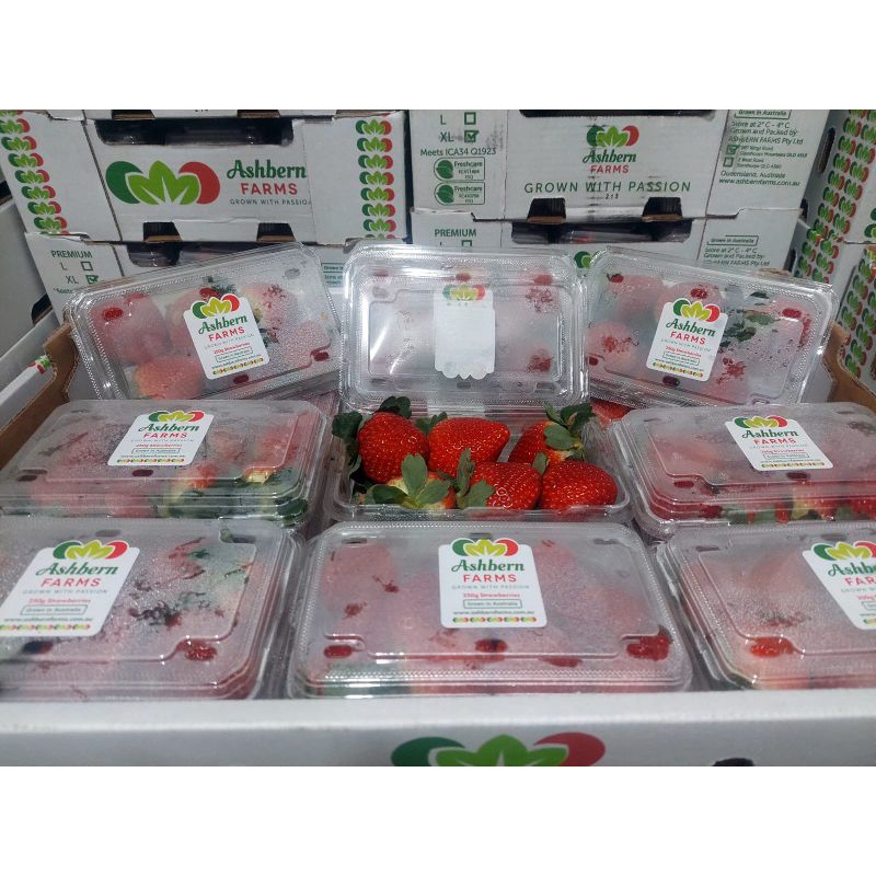 

Strawberry Australia Premium 250 gram