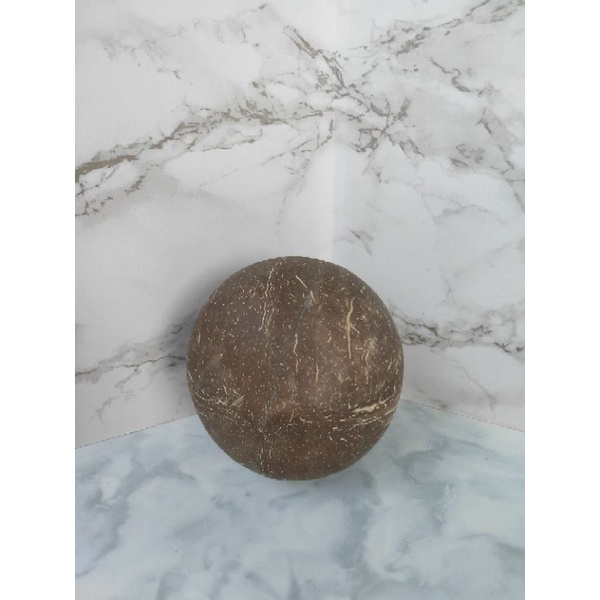 batok kelapa utuh halus