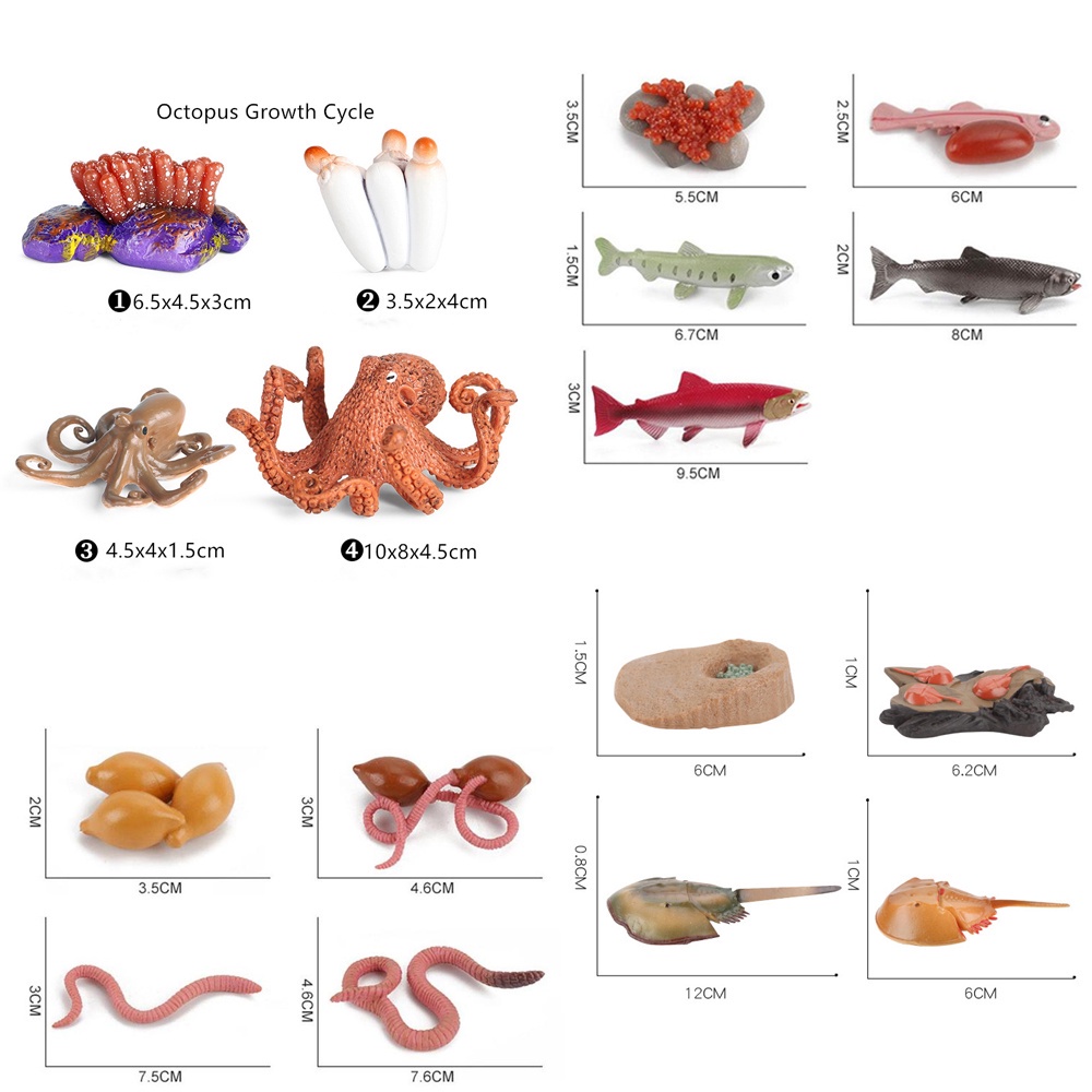 QUINTON Sea Life Salmon Kids Gifts Octopus Realistic Life Cycle Earthworm Simulation Insect Collect Science Plastic Animals Figurines Growth Cycle Model