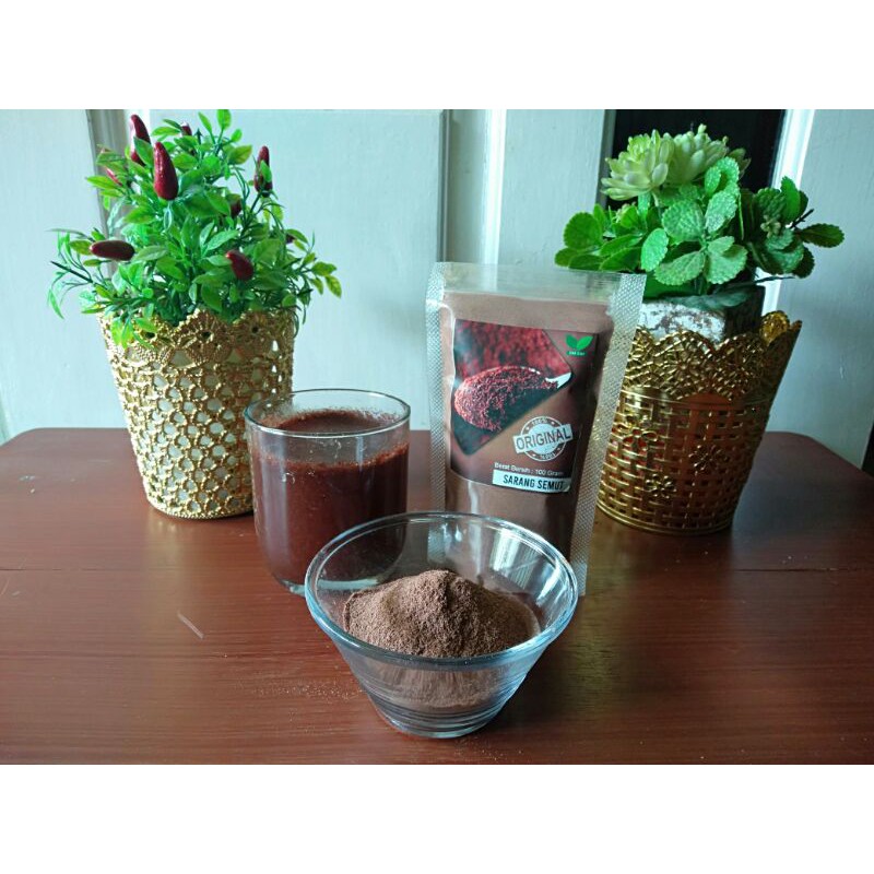 

Sarang Semut Papua Bubuk Murni 50 g
