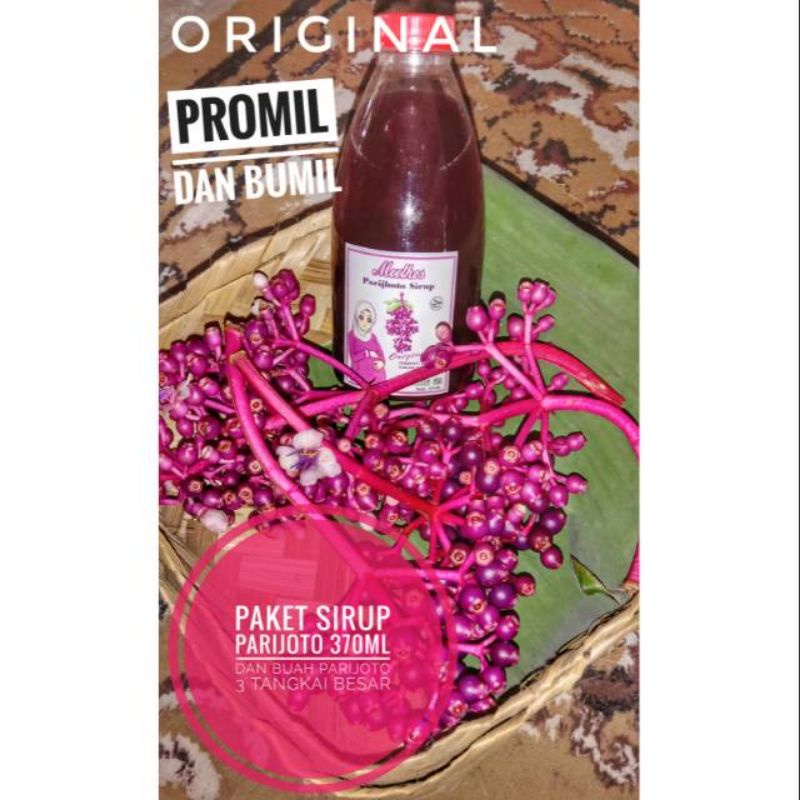 

PAKET SIRUP DAN BUAH PARIJOTO 370gr