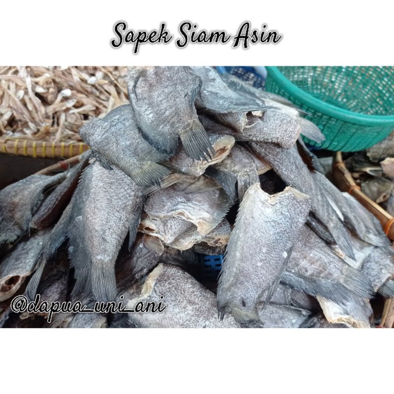 

IKAN SAPEK SIAM ASIN