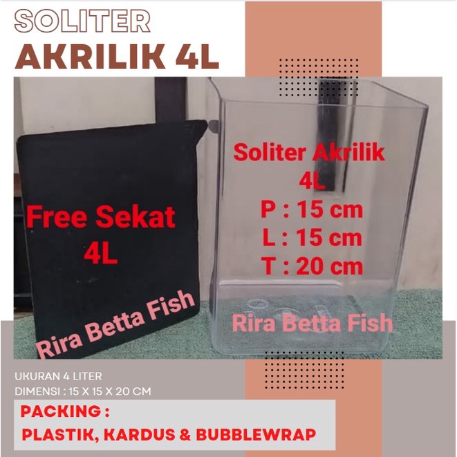 toples soliter ikan cupang 4 liter