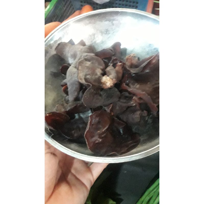 

JAMUR KUPING SEGAR 500GRM