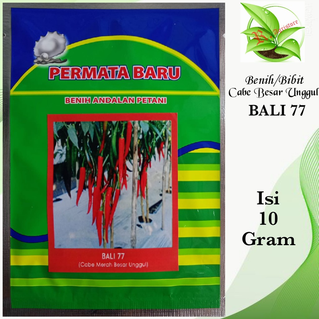 Jual Bibit Cabe Besar Bali 77 Isi 10 Gram Benih Cabe Merah Besar Bibit