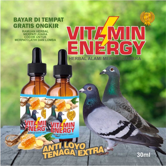 VITAMIN BURUNG GINSENG TEKI DOPING MERPATI JAMU VITAMIN OBAT BURUNG KAMLANG MERPATI - KOEDAPAN BIRD 