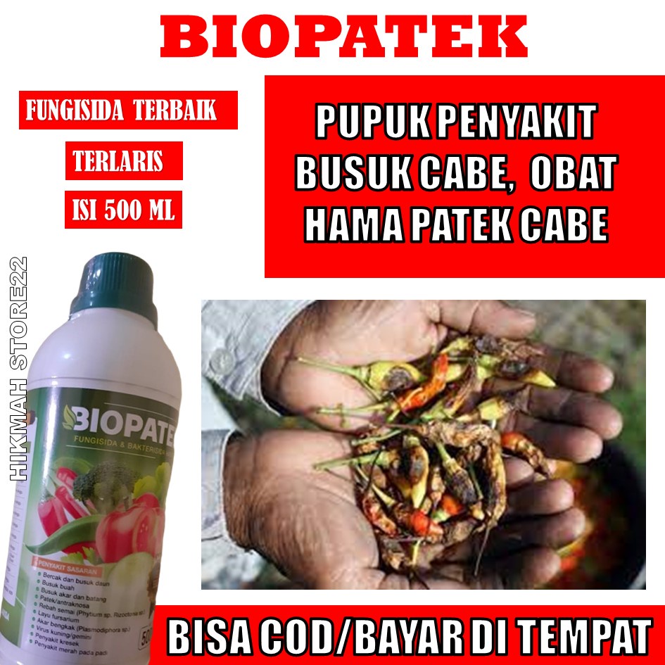 (500 ML OBAT PATEK CABE) TERLARIS BIOPATEK OBAT PATEK CABE & KERITING CABE PALING BAGUS - Obat Busuk