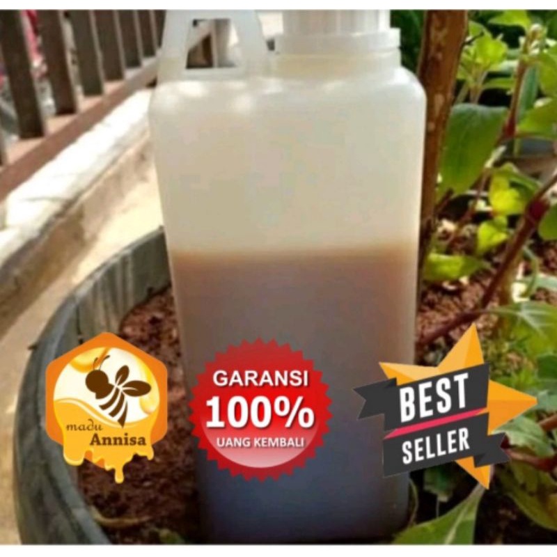 

Promo madu sialang jambi 1 kg grade B spesial event