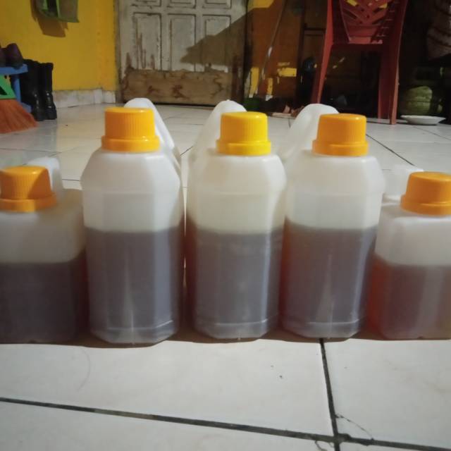 

madu gunung asli